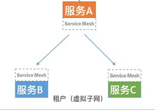 技術(shù)解讀 Rainbond ServiceMesh微服務架構(gòu)與開源PaaS平臺的數(shù)據(jù)處理與存儲支持