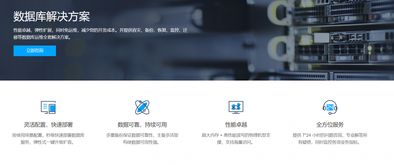 大數(shù)據(jù)時代的數(shù)據(jù)基石 數(shù)據(jù)庫解決方案與處理存儲支持服務探析